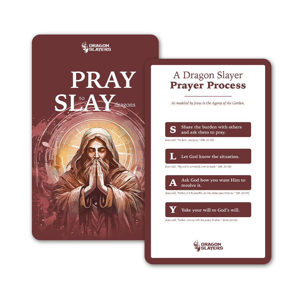 PRAY to SLAY dragons (Pack of 20) image 0