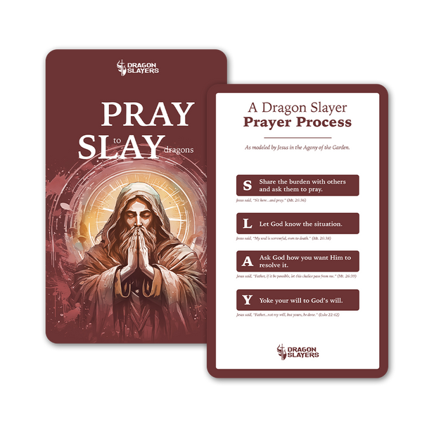PRAY to SLAY dragons (Pack of 20) image 0