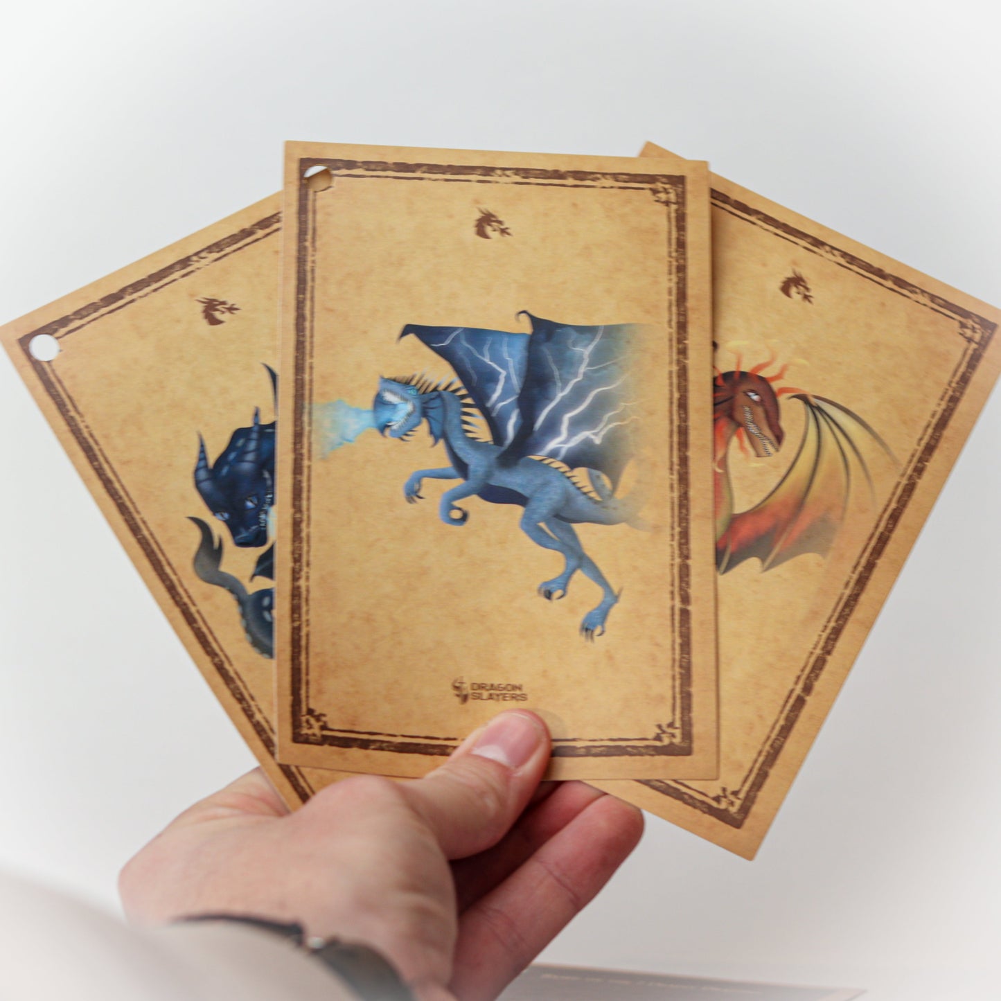Dragon Slayer Flashcards Extraordinary Mission