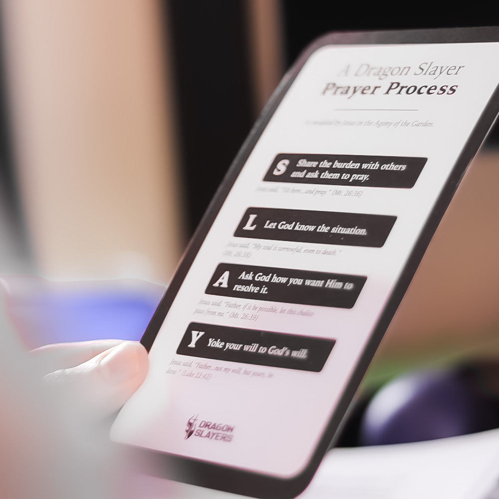 PRAY to SLAY dragons (Pack of 20) image 3