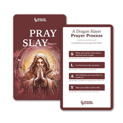 PRAY to SLAY dragons (Pack of 20) image 0