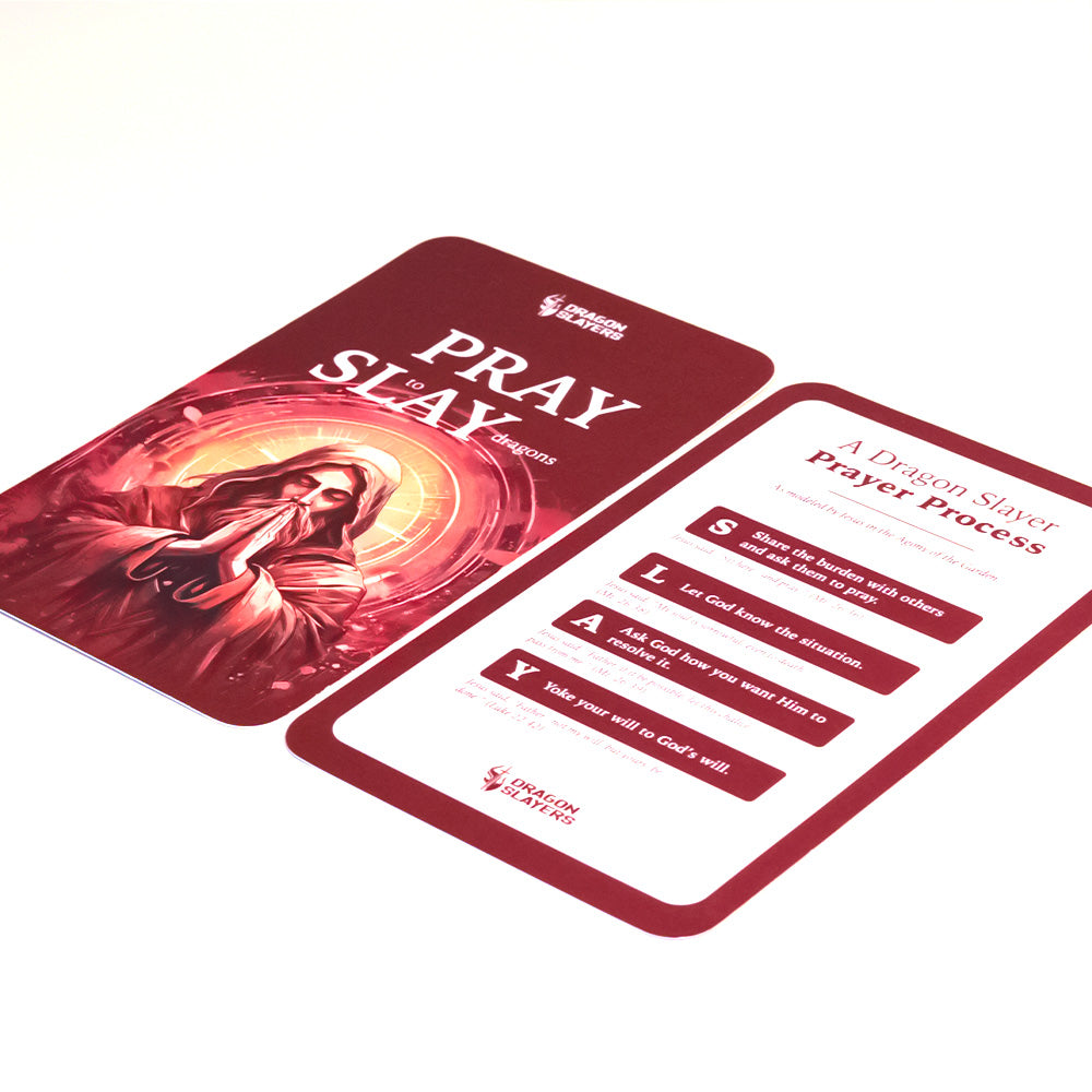 PRAY to SLAY dragons (Pack of 20) image 2