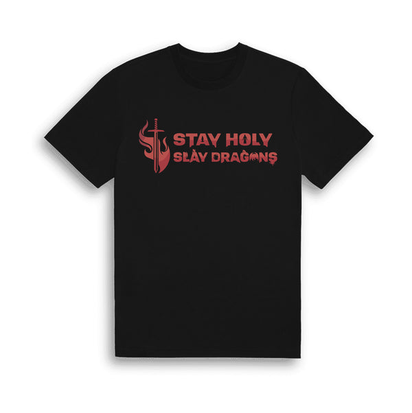 Stay Holy and Slay Dragons Youth T-Shirts image 0